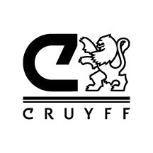 Collection image for: Cruyff