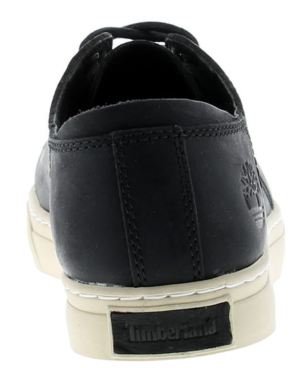 Adventure 2.0 Modern Oxford