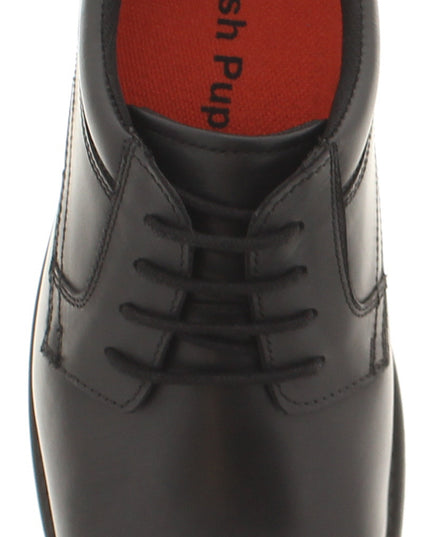 Tommy 2