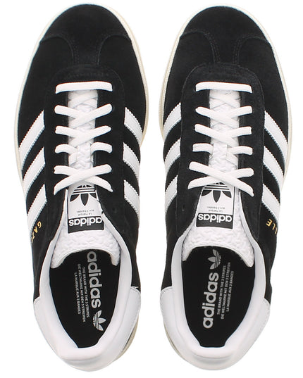 Gazelle Bold