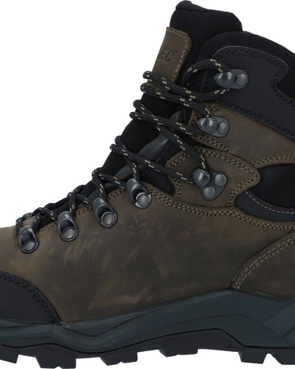Altitude Pro Rgs