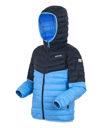 Hooded Hillpack Iii
