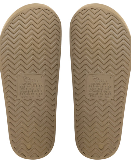 Slides