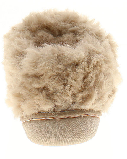 Teddy