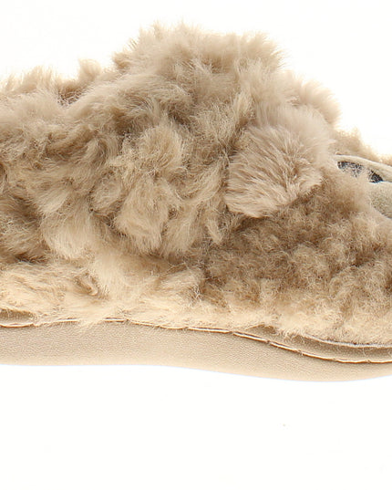 Teddy