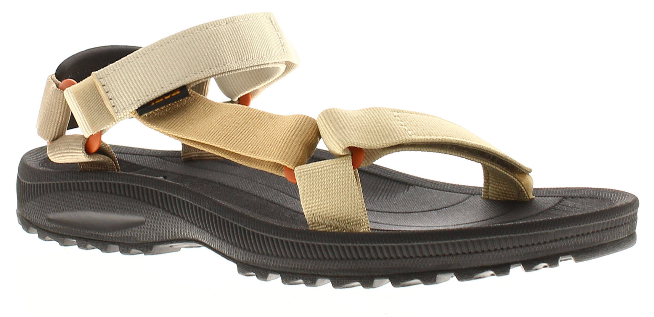 Teva Winsted