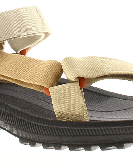 Teva Winsted