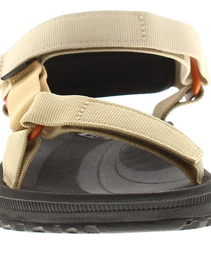 Teva Winsted
