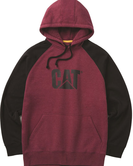 Raglan H Sweatshirt