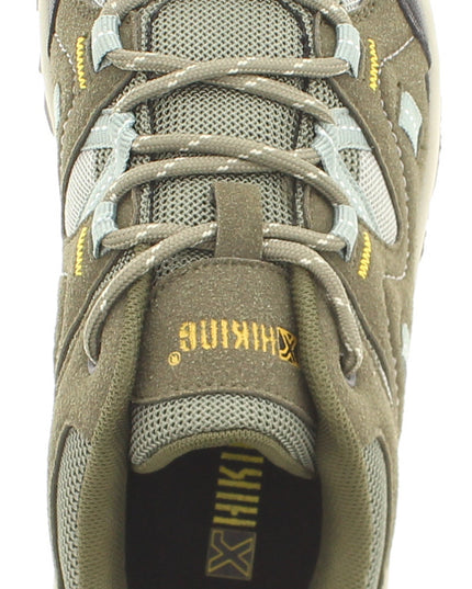 Fuji Low