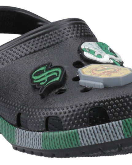 210542 Slytherin