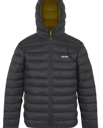 Hooded Marizion