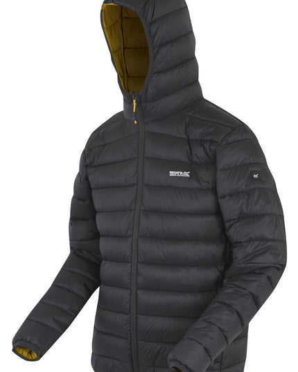 Hooded Marizion