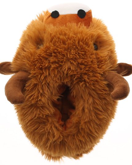 HIGHLAND COW