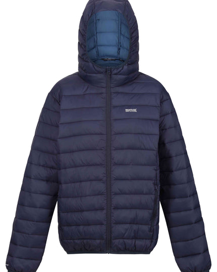 Hooded Marizion