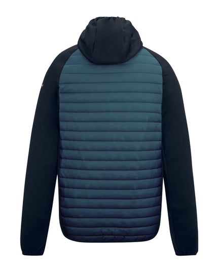Andreson Hybrid