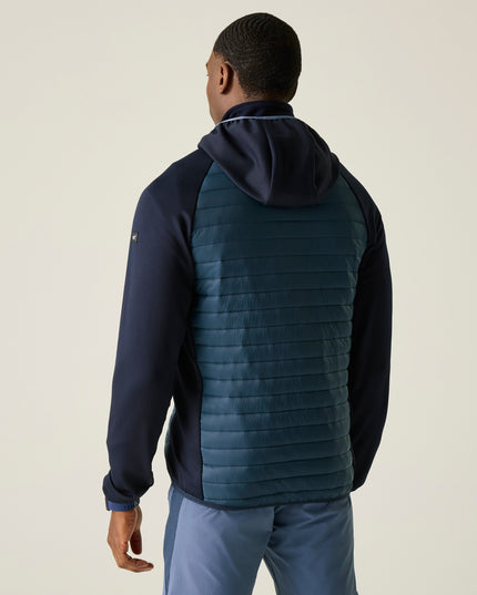 Andreson Hybrid