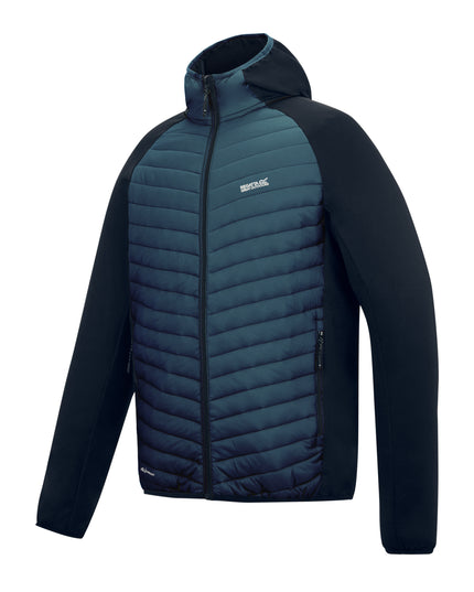 Andreson Hybrid