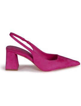Elizabeth Fuchsia