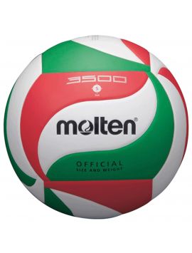 V5M3500 Volleyball Assorted