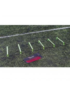 Pinnacle Ladder Assorted