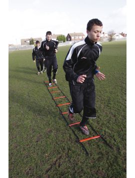 Speed Ladder Assorted