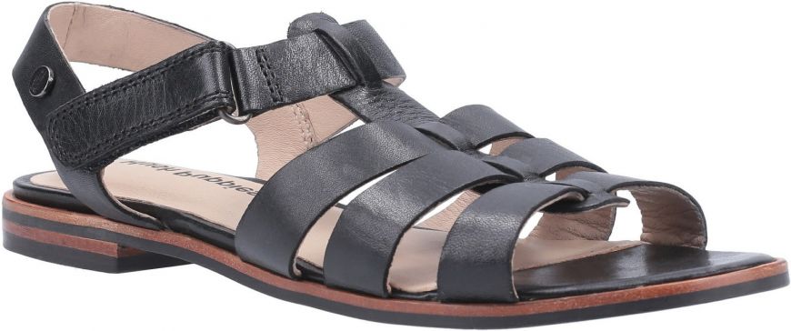 wynsors hush puppies