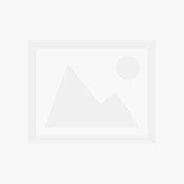 Hush hotsell puppies saluki